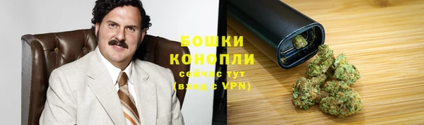 mdpv Богородск
