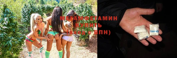 метадон Богданович