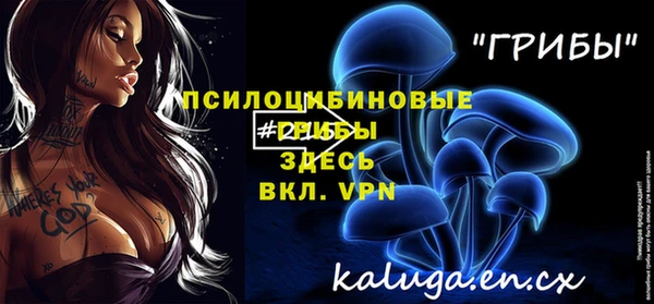 метадон Богданович