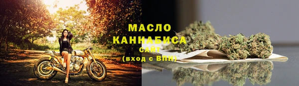 метадон Богданович