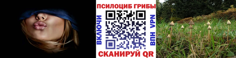 Псилоцибиновые грибы MAGIC MUSHROOMS Данилов